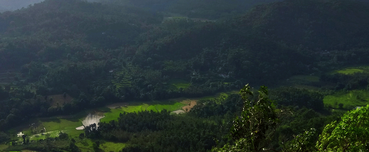 nature
